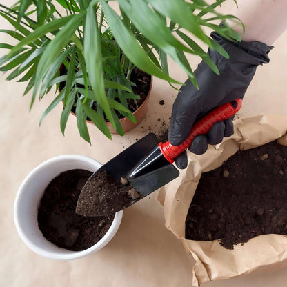 Person using disposable nitrile gloves for safety while repotting a plant with a garden trowel and soil.