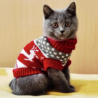 Cute cat sweater costume featuring a grey cat wearing a red knitted sweater with festive patterns.