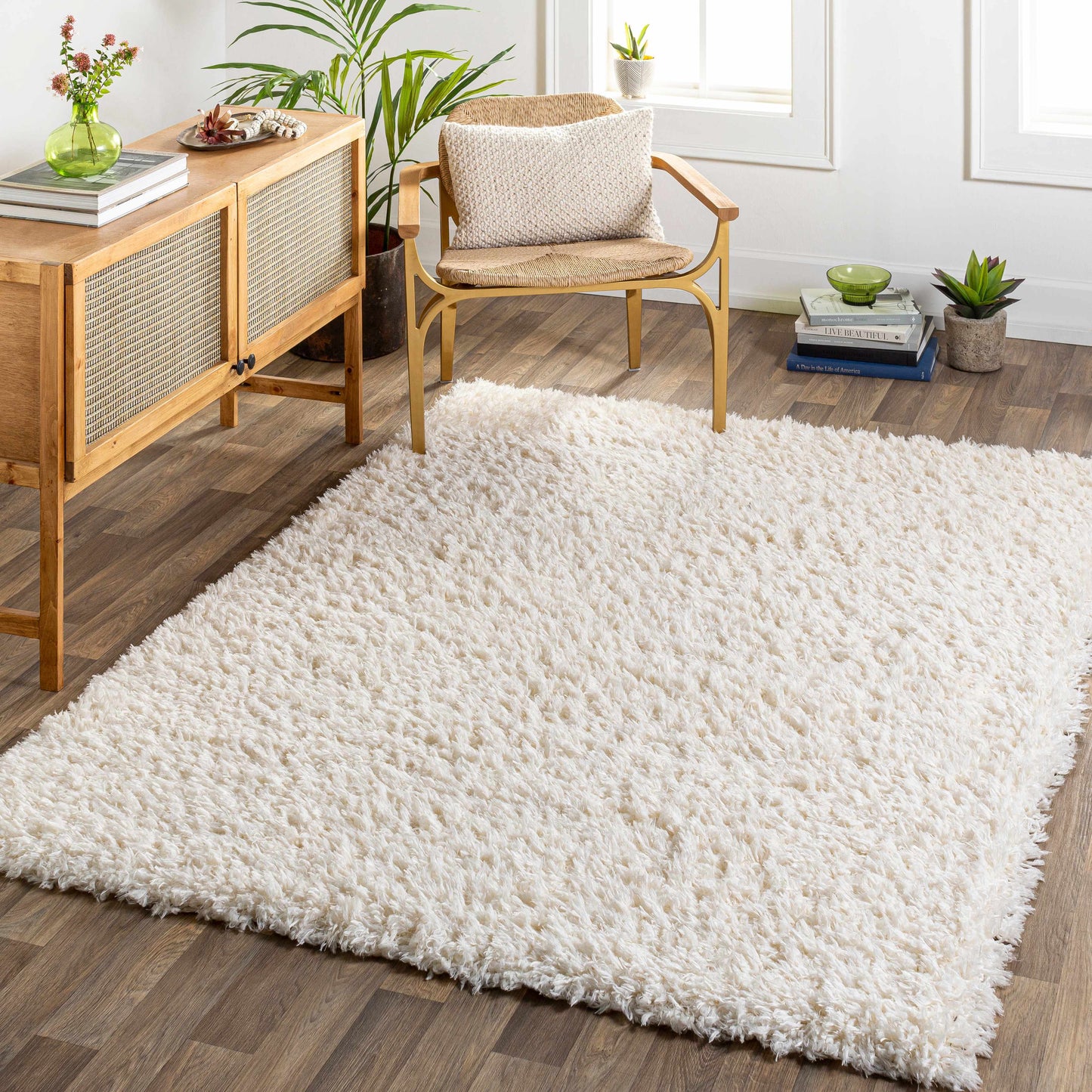 Siari Solid Cream Plush Rug-3