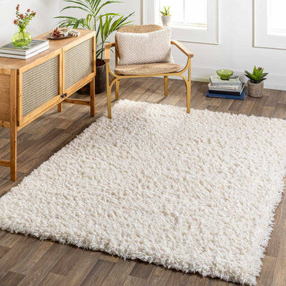 Siari Solid Cream Plush Rug-3